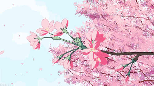 1522809555977903.gif